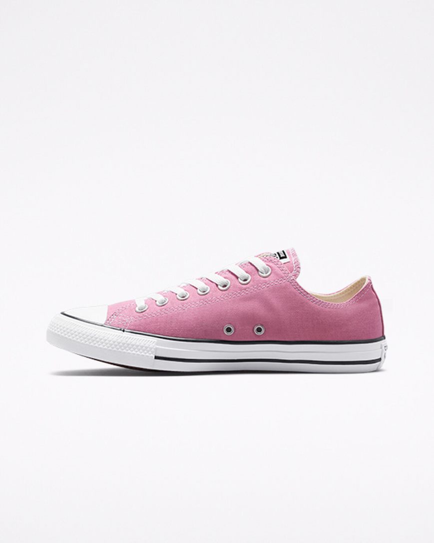 Tenis Converse Chuck Taylor All Star Seasonal Color Cano Baixo Feminino Rosa | PT Q05487T